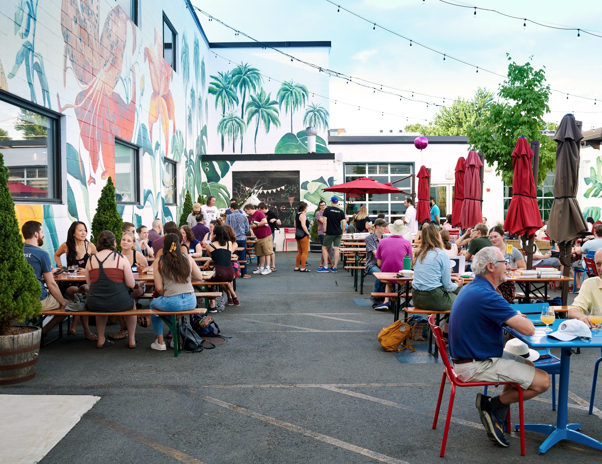 somernovians-somernova-somerville-s-innovation-hub